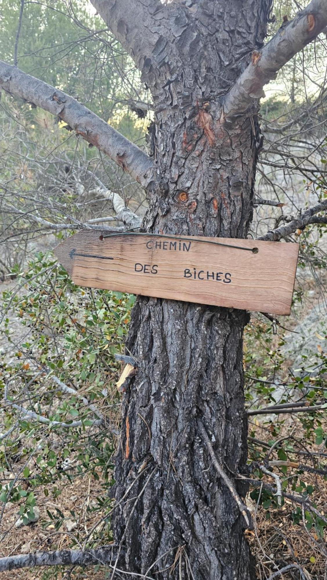 Maison Allauch La Gloire De Mon Pere Dış mekan fotoğraf