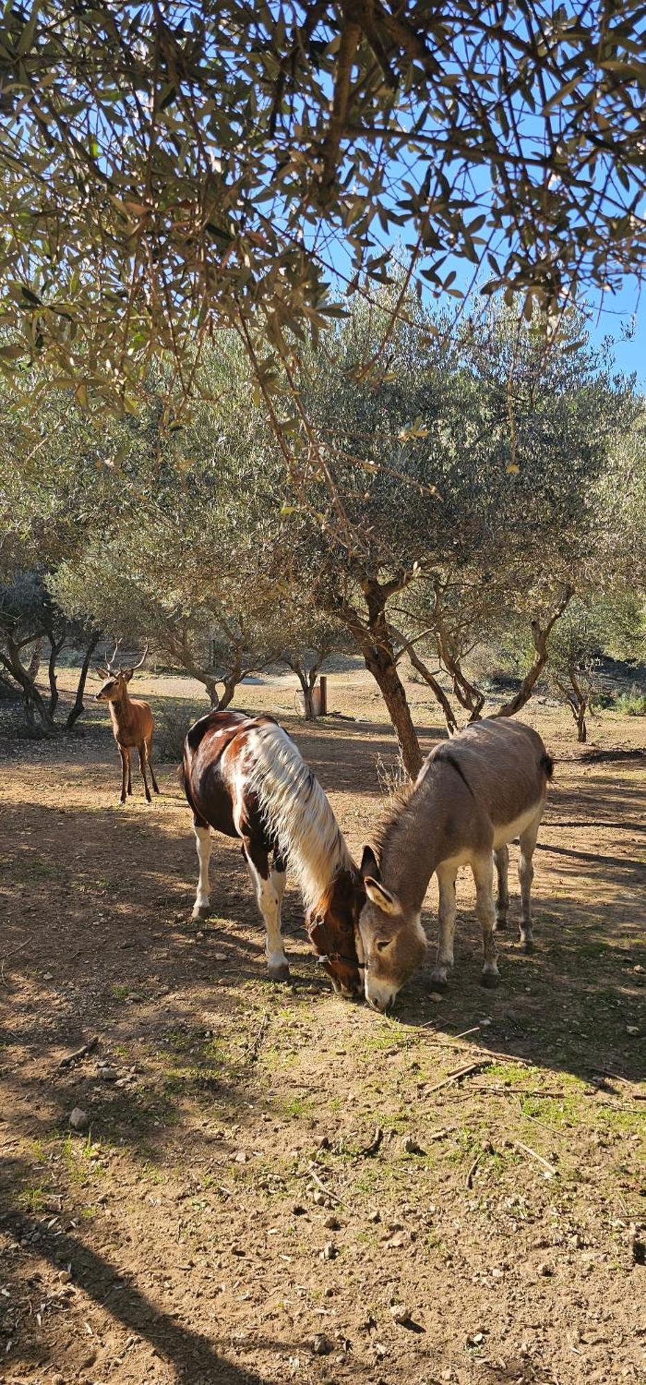 Maison Allauch La Gloire De Mon Pere Dış mekan fotoğraf